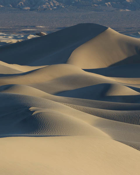 desert