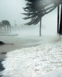 hurricane